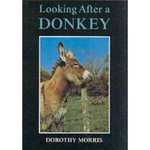 Looking After A Donkey