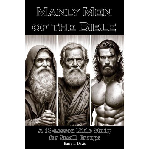 Manly Men Of The Bible: A 13-Lesson Bible Study For Small Groups: 2 (Instant Bible Studies)