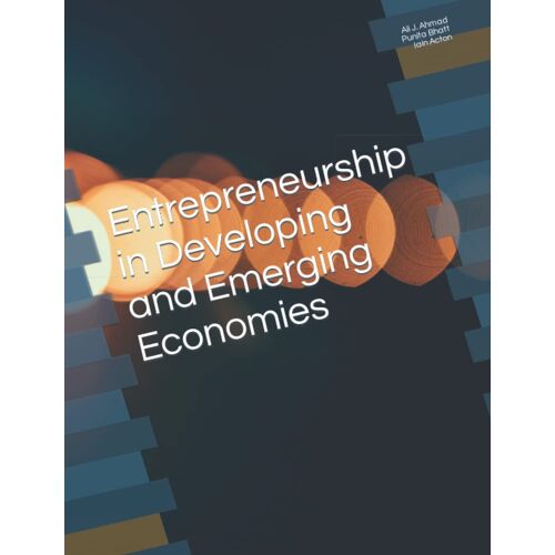 Entrepreneurship In Developing And Emerging Economies
