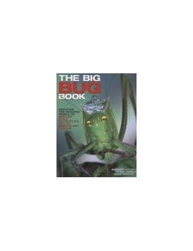 The Big Bug Book: Beetle, Bugs, Butterflies, Moths, Insects And Spiders