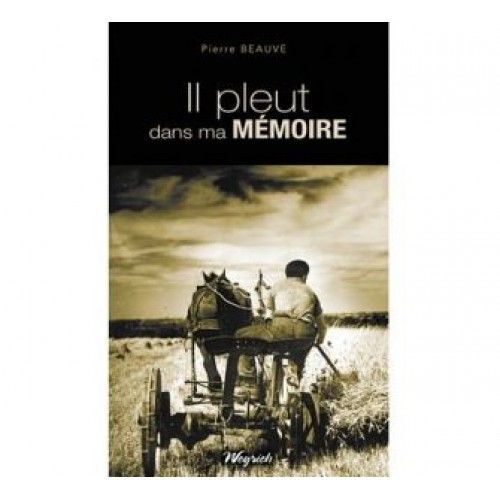 Il Pleut Dans Ma Mémoire