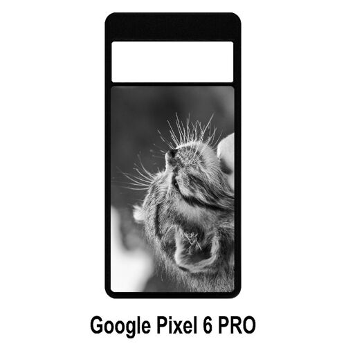 Coque Google Pixel 6 Pro - Chat Zebre - Silicone - Noir