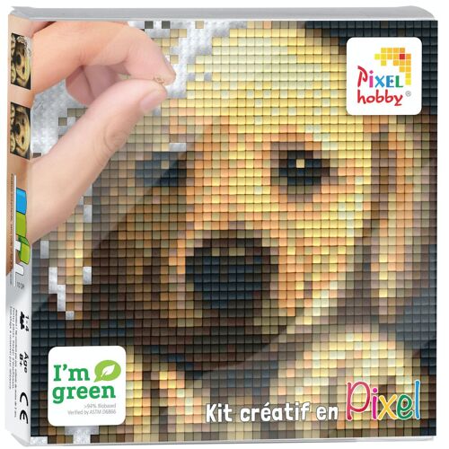 Pixel Kit Créatif Tableau 12x12cm - Chien