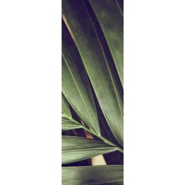 Radiateur électrique à rayonnement Ilo Emeraude en verre design Feuille de Palmier 500W