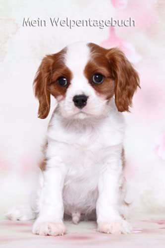 Mein Welpentagebuch: Die Ersten Monate Mit Meinem Cavalier King Charles Spaniel - Für Welpenbesitzer - Für Hundezüchter Als Geschenk Für Die Welpenkäufer Beim Auszug Der Welpen