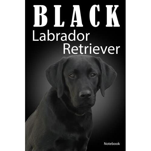Black Labrador Retriever Notebook: Black Labrador Journal, Blank Wide Ruled Paper, Prints Cute School Notebook, Ruled Paper, Dog Breed Composition ... Black Labrador Retriever. 120 Lined Pages