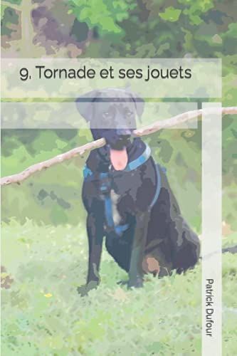9. Tornade Et Ses Jouets (La Vie De Tornade)