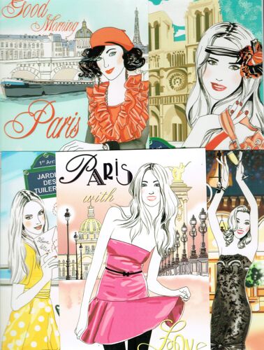 Lot De   5  Cartes  Postales   Belle  Jeune  Femme  A   Paris :  Notre Dame -  Seine -  Jardin  Tuileries -  Pont Alexandre  3  -  Palace                                                          