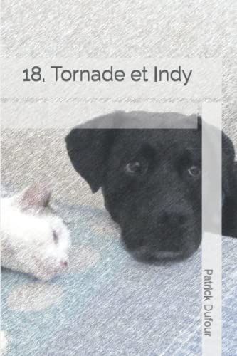 18. Tornade Et Indy