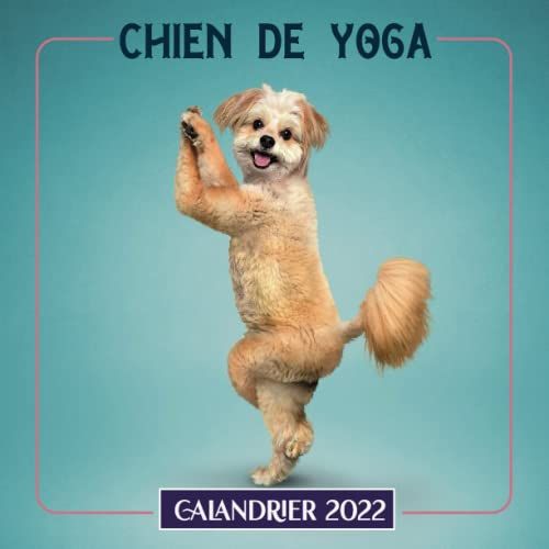 Calandrier 2022 Chiens De Yoga: Une Jolie Calendrier Mensuel De 12 Mois ( De Janvier À Décembre 2022 ) Avec Note | 12 Photos Amusents En Couleurs De ... Pour Homme, Femme, Adolescent, Enfant
