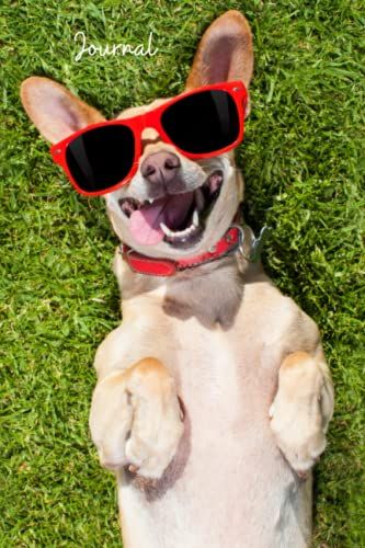 Doggie Days Of Summer Love Journal: Dog Lover's Blank Lined Gift Journal For Family & Friends