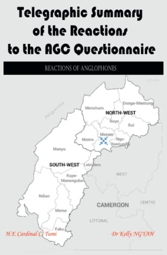 Telegraphic Summary Of The Reactions To The Agc Questionnaire