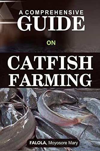 A Comprehensive Guide On Catfish Farminng