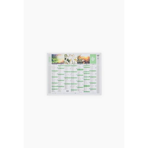 Calendrier Mural Quovadis 27 X 21cm