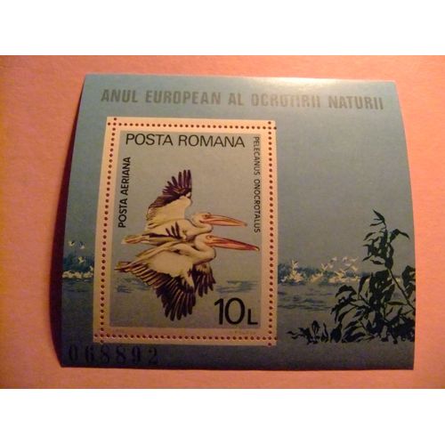Rumania Roumanie 1980 Fauna Birds Pajaros Oiseaux Yvert 141 ** Mnh