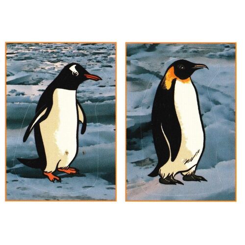 N° 288 - Stickers Image Panini Animaux A La Decouverte Du Monde Animal 2013