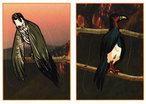 N° 312 - Stickers Image Panini Animaux A La Decouverte Du Monde Animal 2013