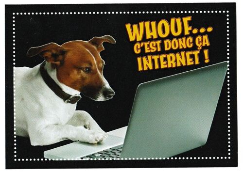 N° 329 - Stickers Image Panini Animaux A La Decouverte Du Monde Animal 2013