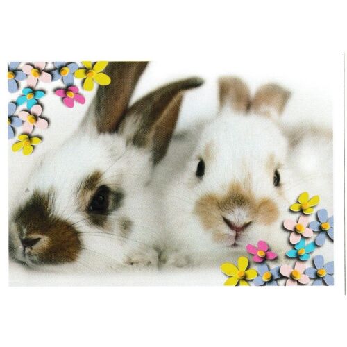 N° 116 - Stickers Image Panini Bebes Animaux Calins