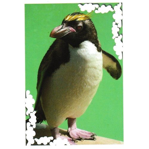 N° 132 - Stickers Image Panini Bebes Animaux Calins