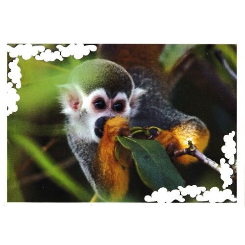 N° 139 - Stickers Image Panini Bebes Animaux Calins