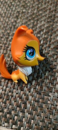 Petshop Chien Renard
