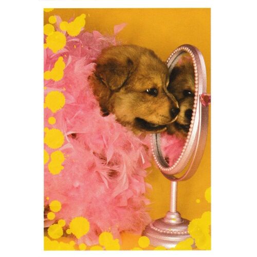 N° 34 - Stickers Image Panini Bebes Animaux Calins