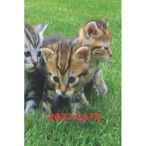 2022 Cats: Agenda