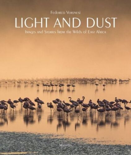 Light And Dust