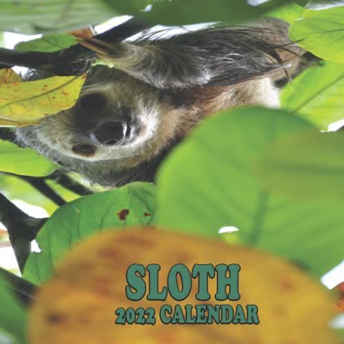 Sloth 2022 Calendar: 12 Monthly Space For Plans, Reminder Needs And Schedules, 12 Full-Color Images (January - December 2022), Holidays For Us/Uk/Ca , ... 28 Colorful Pages Premium Color Interior