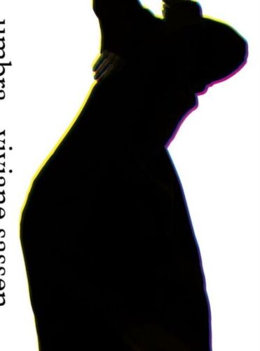 Viviane Sassen Umbra