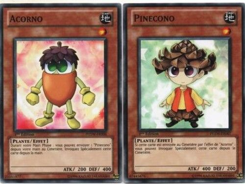 Acorno - Phsw-Fr006  + Pinecono - Phsw-Fr007