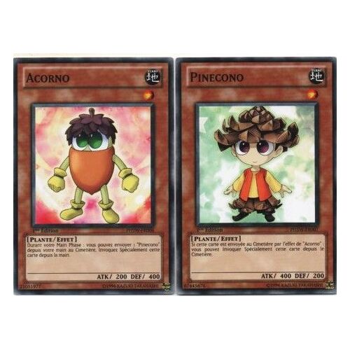 Acorno - Phsw-Fr006  + Pinecono - Phsw-Fr007