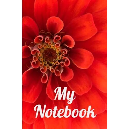 My Notebook: A Red Flower Notebook 6 X 9 Medium Notebook 100 Pages Gift For Women And Girls Nature Walks Observations
