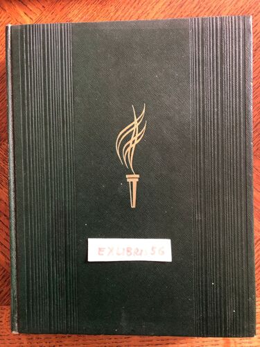 Général Weygand, Histoire De L'armée Française