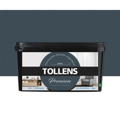 Peinture Tollens premium murs boiseries et radiateurs abysse mat 2 5L