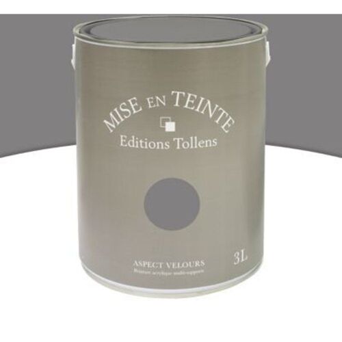 Peinture murs et boiseries Tollens Mise en teinte flanelle mat velours 3L