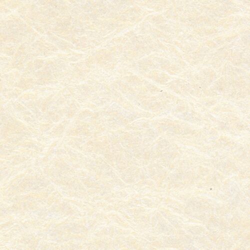 Papertree 56*76 125g Antik Ivoire - Lot De 10 Feuilles
