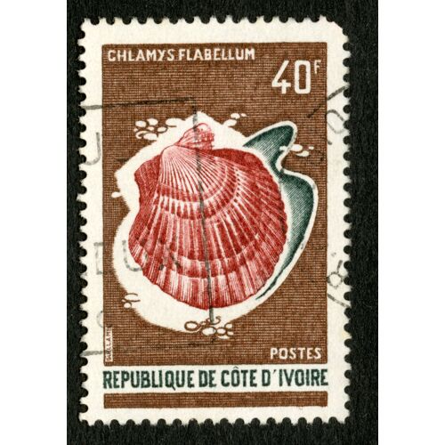 Timbre Oblitéré République De Côte D'ivoire, Chlamys Flabellum, 40 F, Postes