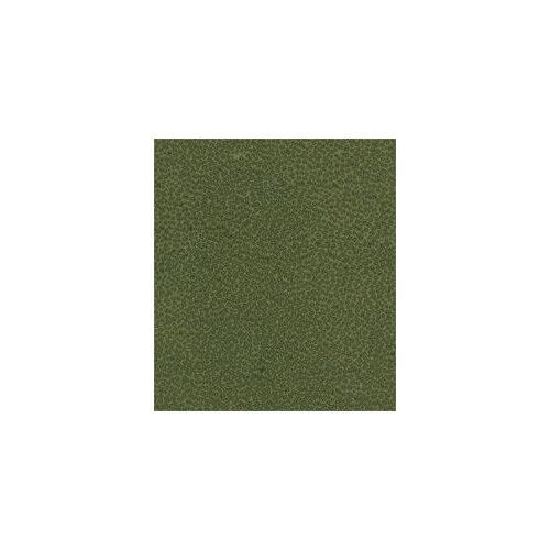 Papertree 56*76 125g Gum Kaki - Lot De 10 Feuilles