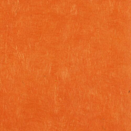 Papertree 50*70 Lokta Paper Curry - Lot De 10 Feuilles