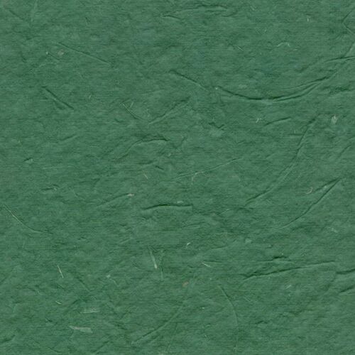 Papertree Ds 50 X 70 - 200g Bagasse Vert