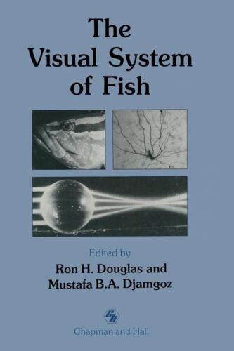 The Visual System Of Fish