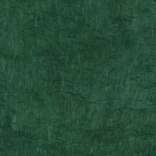 Papertree 50*70 Lokta Paper Forest - Lot De 10 Feuilles
