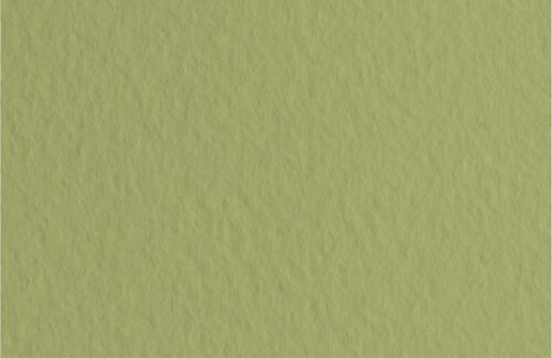 Fabriano Dessin Tiziano 10 Feuilles 50x65cm 160gsm Vert Mouss14