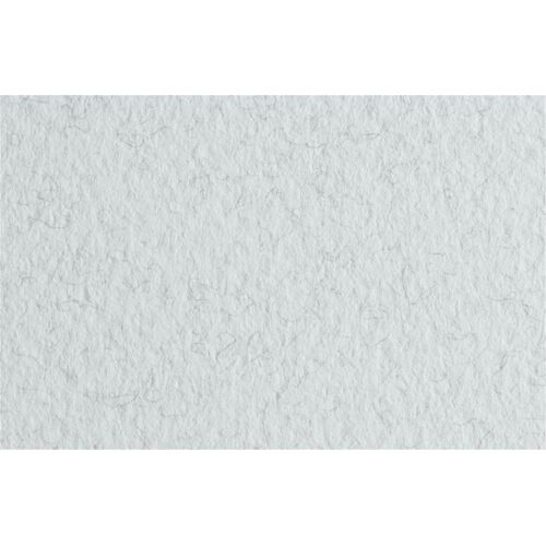 Fabriano Dessin Tiziano 10 Feuilles 50x65cm 160gsm Gris Givré32