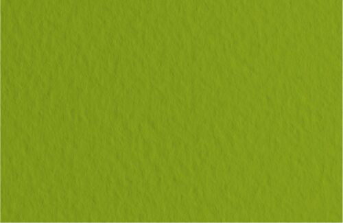Fabriano Dessin Tiziano 10 Feuilles 50x65cm 160gsm Vert Pista43