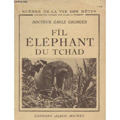Fîl, Éléphant Du Tchad