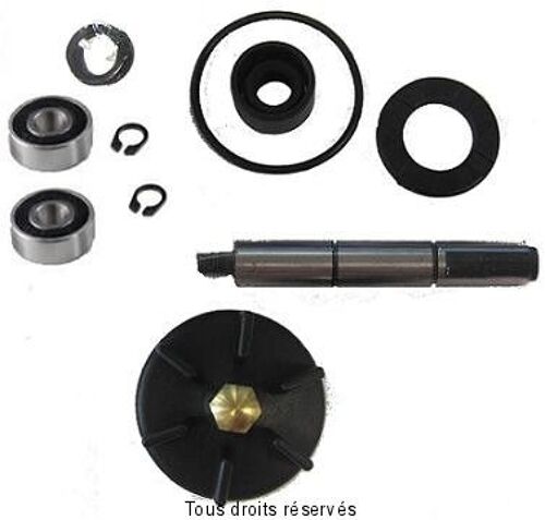 Kyoto - Kit Pompe À Eau Piaggio-Gilera 50