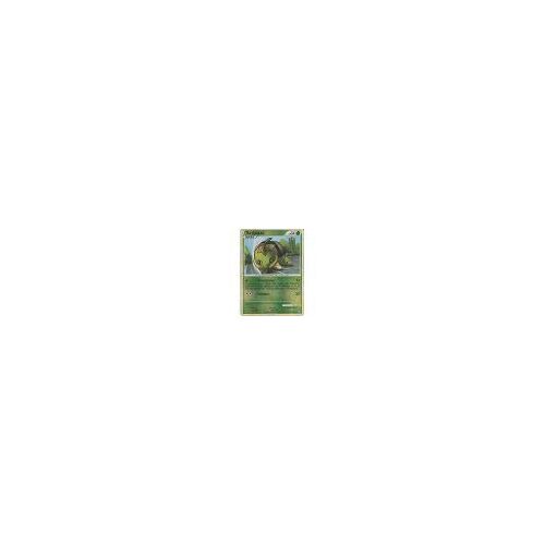 Carte Pokemon Tortipouss Base Pv50 67//95